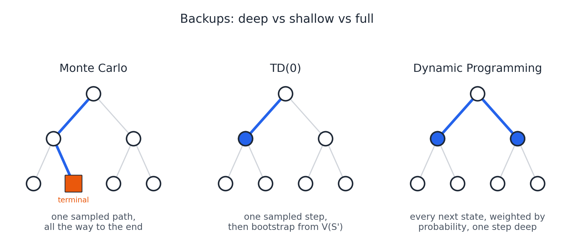Backups in Monte Carlo, TD and DP