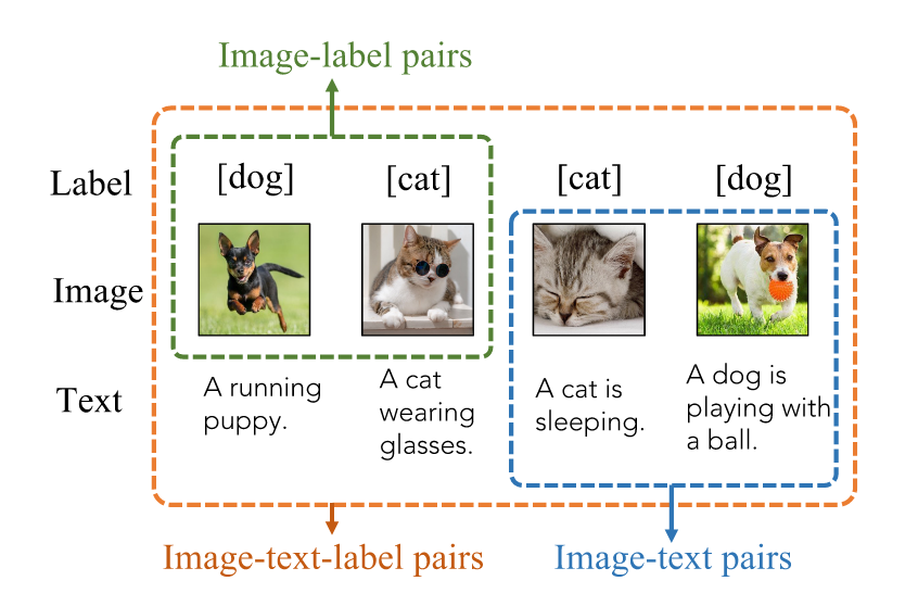 Image-Text-Label Contrastive Learning