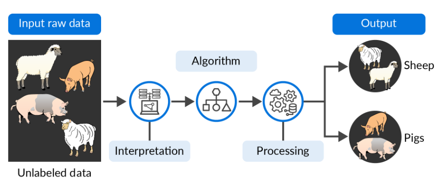 Processing data