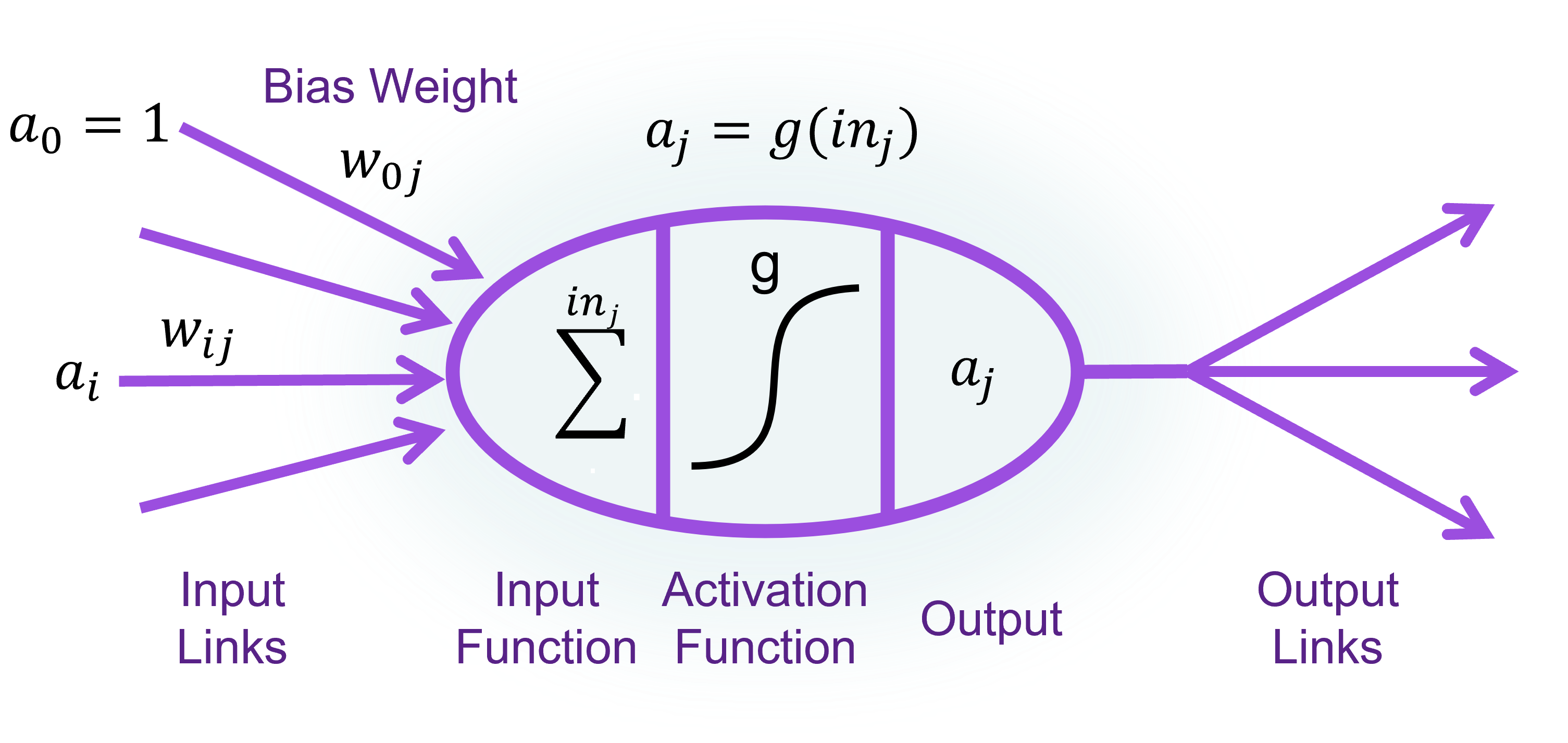 Simple Neuron